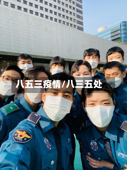 八五三疫情/八三五处