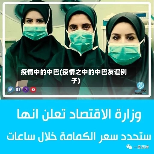 疫情中的中巴(疫情之中的中巴友谊例子)