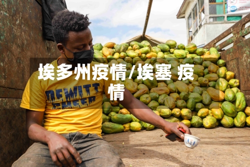 埃多州疫情/埃塞 疫情