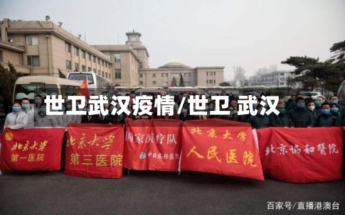世卫武汉疫情/世卫 武汉