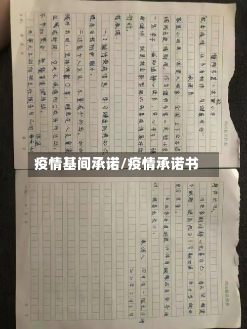 疫情基间承诺/疫情承诺书-第2张图片