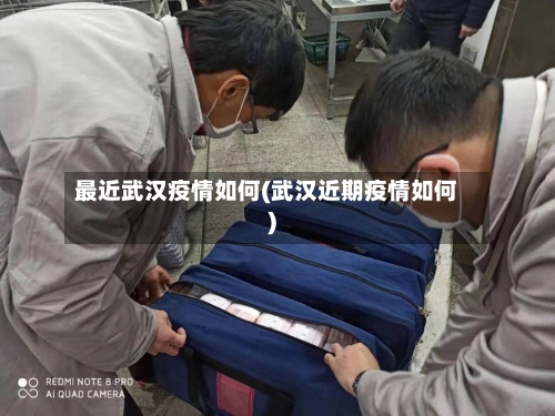 最近武汉疫情如何(武汉近期疫情如何)-第3张图片