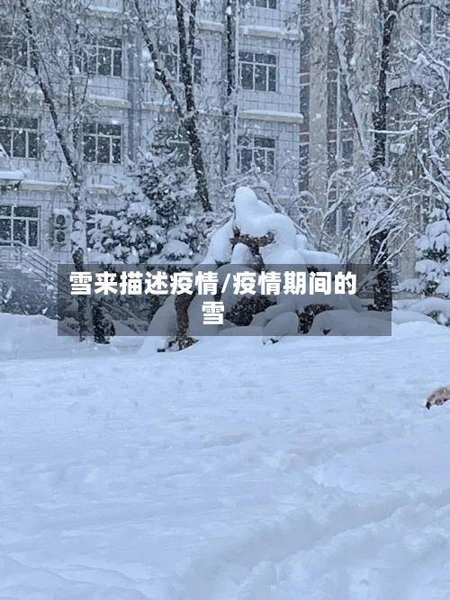 雪来描述疫情/疫情期间的雪-第2张图片
