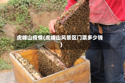 虎峰山疫情(虎峰山风景区门票多少钱)