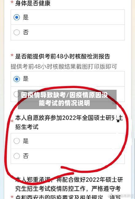 因疫情导致缺考/因疫情原因没能考试的情况说明