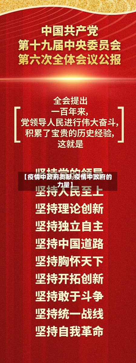 【疫情中政府贡献,疫情中政府的力量】