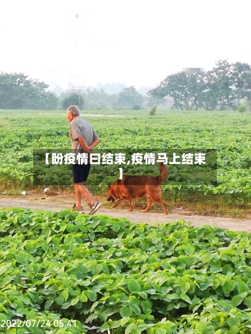 【盼疫情曰结束,疫情马上结束】-第2张图片