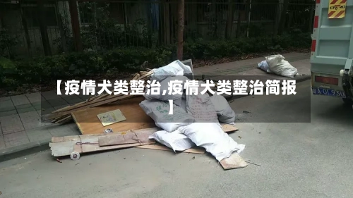 【疫情犬类整治,疫情犬类整治简报】