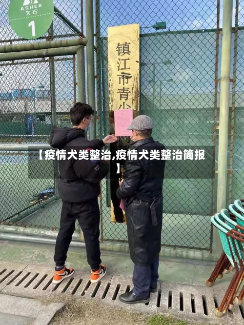 【疫情犬类整治,疫情犬类整治简报】-第3张图片