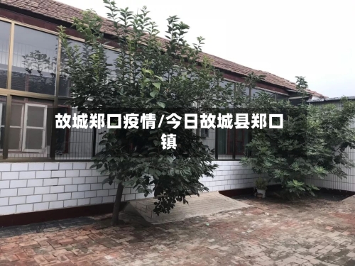 故城郑口疫情/今日故城县郑口镇-第3张图片