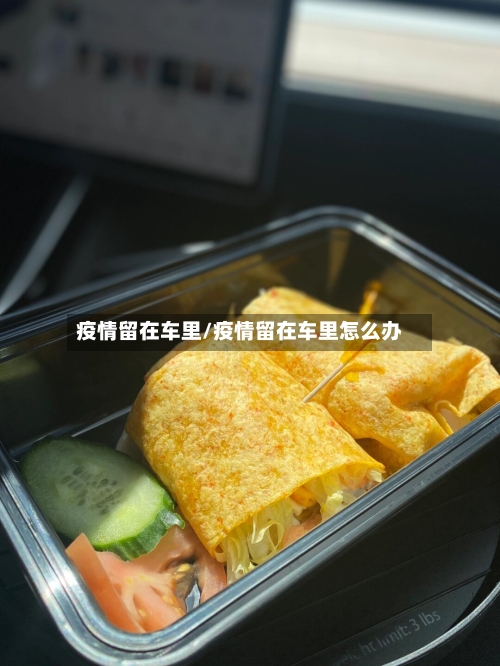 疫情留在车里/疫情留在车里怎么办