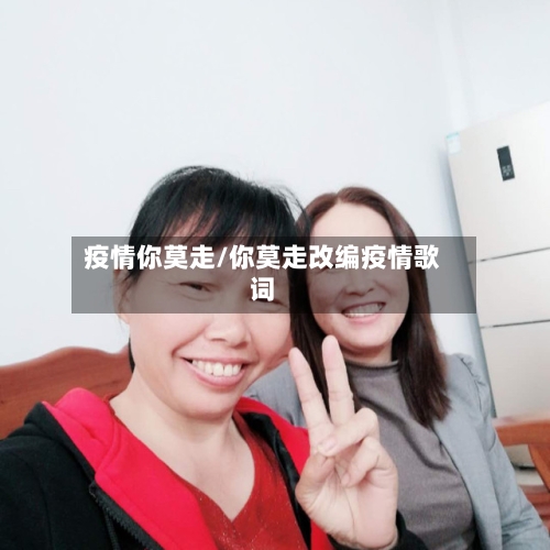 疫情你莫走/你莫走改编疫情歌词