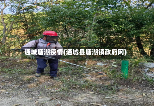 通城塘湖疫情(通城县塘湖镇政府网)-第3张图片