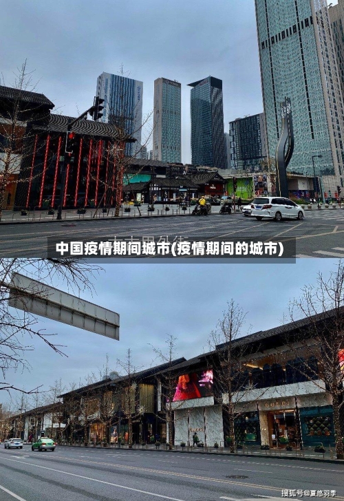 中国疫情期间城市(疫情期间的城市)