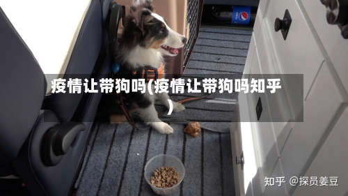 疫情让带狗吗(疫情让带狗吗知乎)-第3张图片