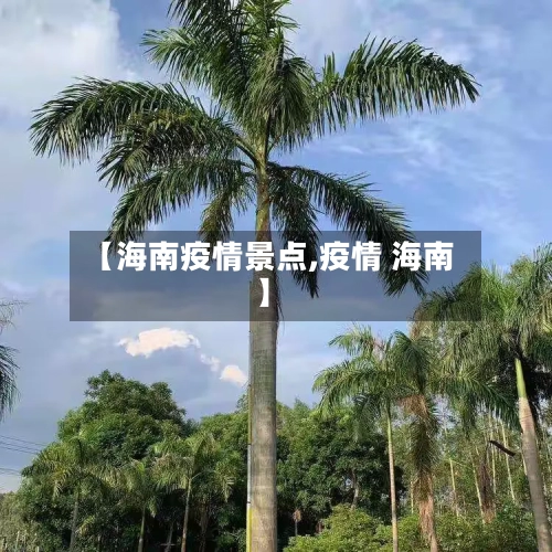 【海南疫情景点,疫情 海南】