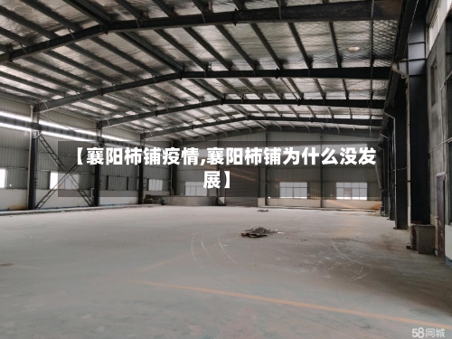 【襄阳柿铺疫情,襄阳柿铺为什么没发展】-第2张图片