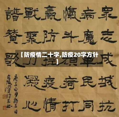 【防疫情二十字,防疫20字方针】