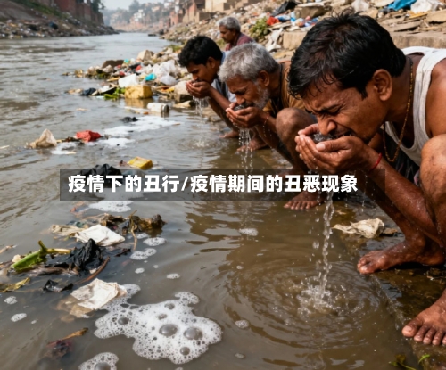 疫情下的丑行/疫情期间的丑恶现象-第3张图片