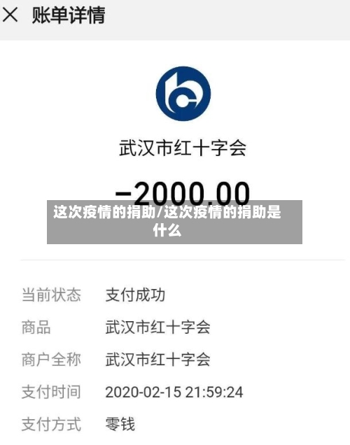 这次疫情的捐助/这次疫情的捐助是什么