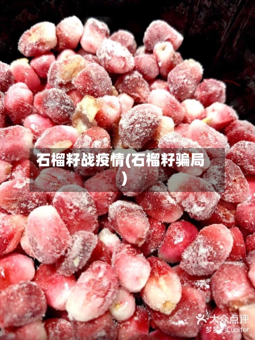 石榴籽战疫情(石榴籽骗局)-第2张图片