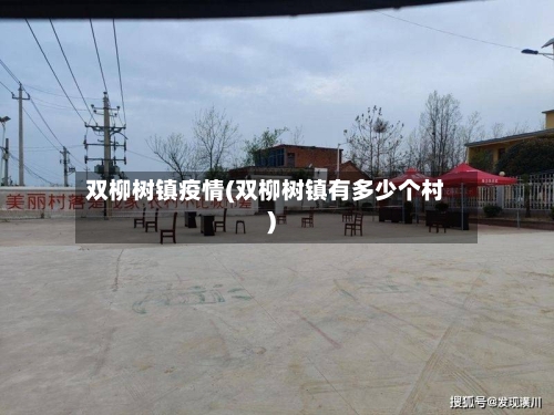 双柳树镇疫情(双柳树镇有多少个村)