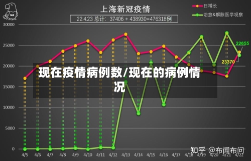 现在疫情病例数/现在的病例情况-第2张图片
