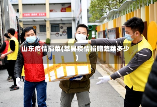 山东疫情捐菜(莘县疫情捐赠蔬菜多少)-第3张图片