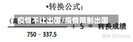 疫情不让出国/疫情限制出国-第3张图片