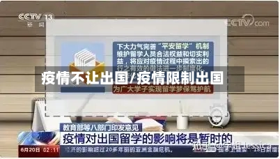 疫情不让出国/疫情限制出国-第2张图片
