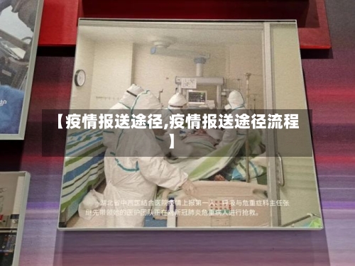 【疫情报送途径,疫情报送途径流程】