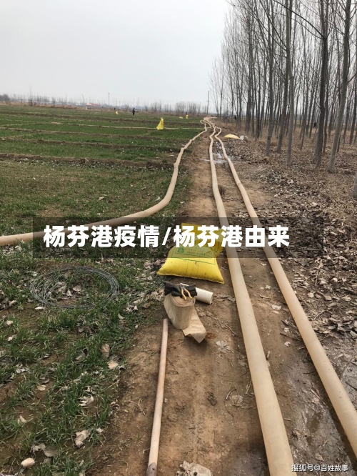 杨芬港疫情/杨芬港由来