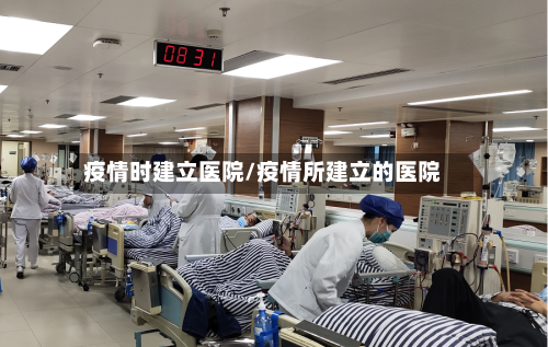 疫情时建立医院/疫情所建立的医院
