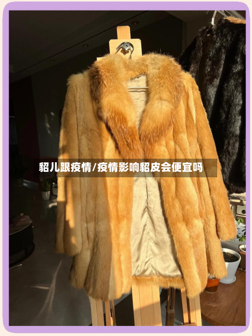 貂儿跟疫情/疫情影响貂皮会便宜吗-第2张图片