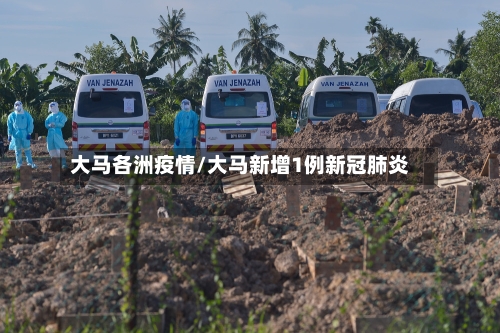 大马各洲疫情/大马新增1例新冠肺炎-第3张图片