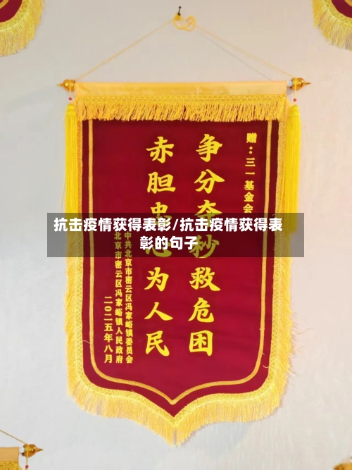 抗击疫情获得表彰/抗击疫情获得表彰的句子-第3张图片