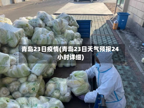 青岛23日疫情(青岛23日天气预报24小时详细)-第2张图片