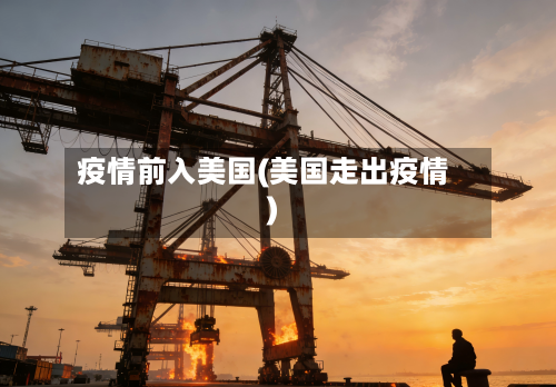 疫情前入美国(美国走出疫情)-第3张图片