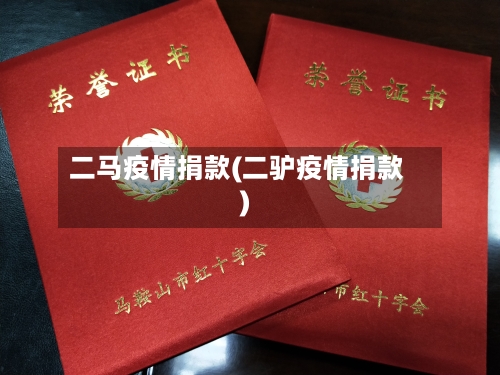 二马疫情捐款(二驴疫情捐款)-第2张图片