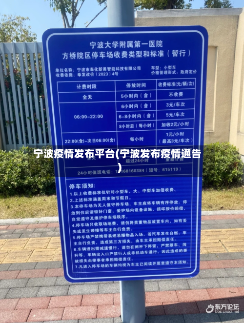宁波疫情发布平台(宁波发布疫情通告)