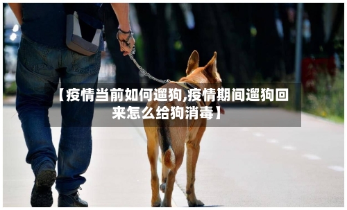 【疫情当前如何遛狗,疫情期间遛狗回来怎么给狗消毒】