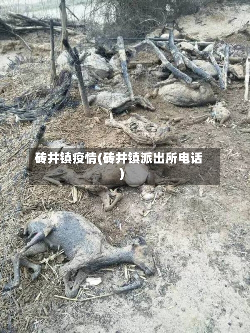 砖井镇疫情(砖井镇派出所电话)