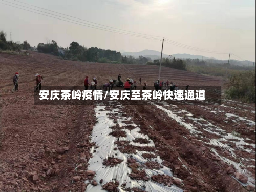 安庆茶岭疫情/安庆至茶岭快速通道-第3张图片