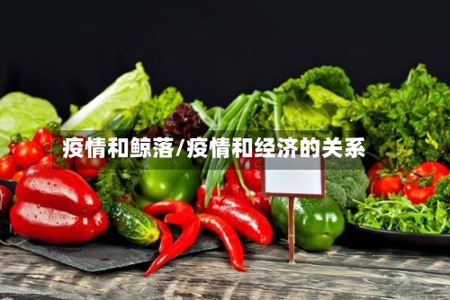 疫情和鲸落/疫情和经济的关系-第3张图片