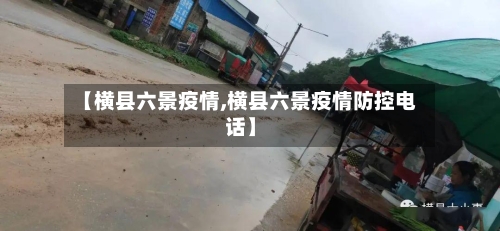 【横县六景疫情,横县六景疫情防控电话】