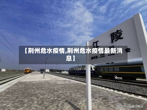 【荆州危水疫情,荆州危水疫情最新消息】