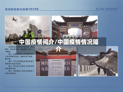 中国疫情间介/中国疫情情况简介
