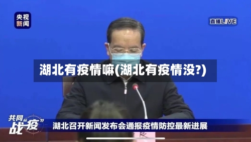 湖北有疫情嘛(湖北有疫情没?)-第2张图片
