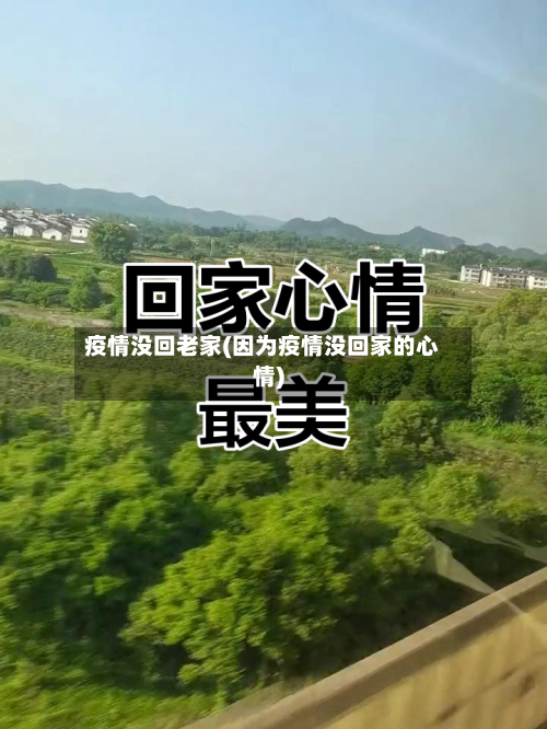 疫情没回老家(因为疫情没回家的心情)