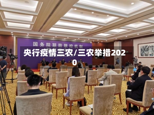 央行疫情三农/三农举措2020
